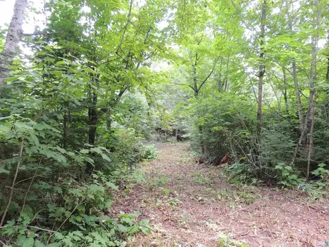 210 E Deeryard Lake Road Lutsen MN 55612