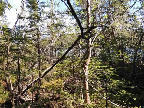 210 E Deeryard Lake Road Lutsen MN 55612