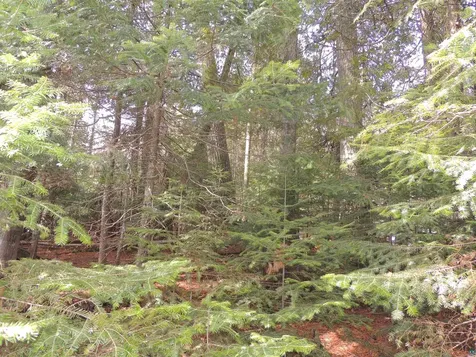 210 E Deeryard Lake Road Lutsen MN 55612