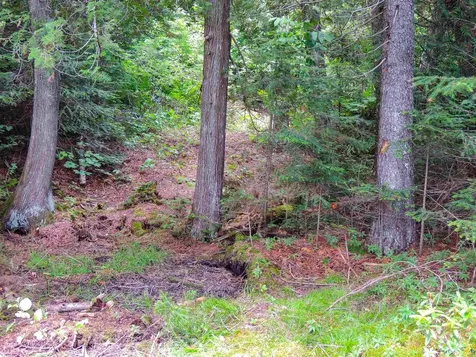 210 E Deeryard Lake Road Lutsen MN 55612