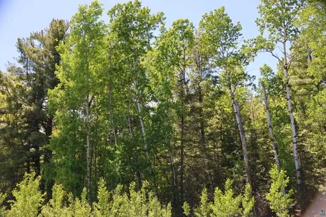 30XXX Brevak Road Washburn WI 54891