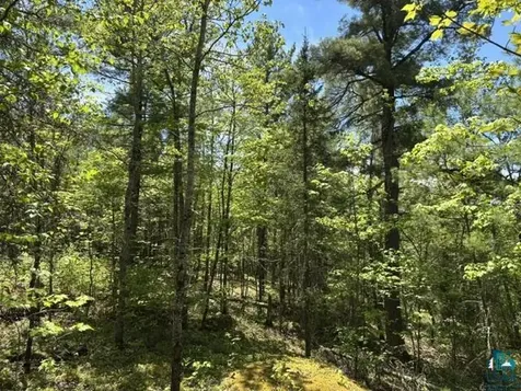 5049 Big Lake Road Ely MN 55731