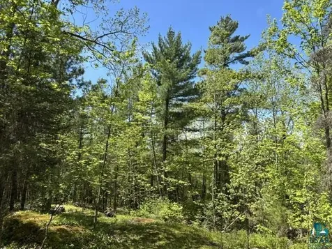 5049 Big Lake Road Ely MN 55731