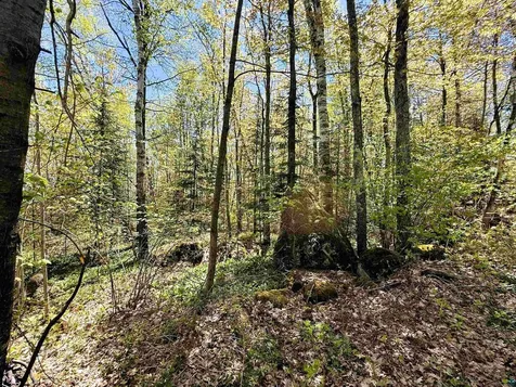 Lot 5 Blue Wing Bay Road Bayfield WI 54814