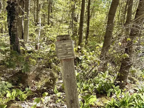 Lot 5 Blue Wing Bay Road Bayfield WI 54814