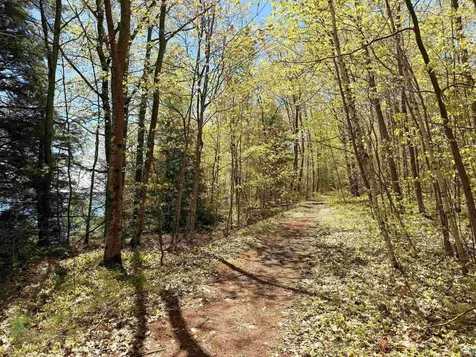 Lot 5 Blue Wing Bay Road Bayfield WI 54814