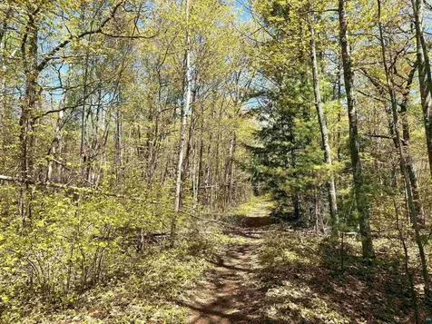 Lot 5 Blue Wing Bay Road Bayfield WI 54814