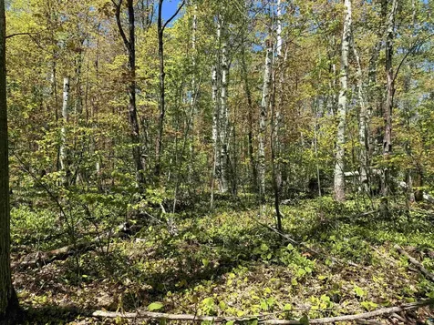 Lot 5 Blue Wing Bay Road Bayfield WI 54814
