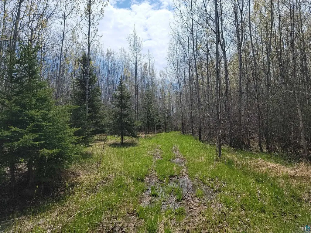 80X Sled Dog Trail Hovland MN 55606