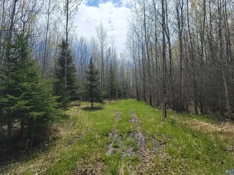 80X Sled Dog Trail Hovland MN 55606