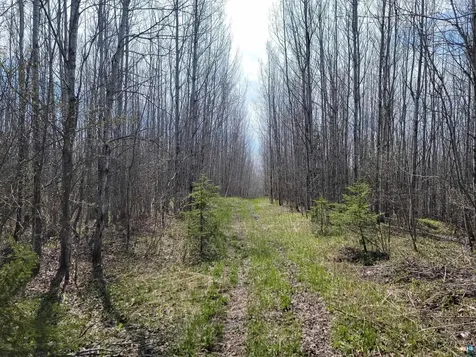 80X Sled Dog Trail Hovland MN 55606