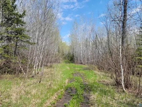 80X Sled Dog Trail Hovland MN 55606