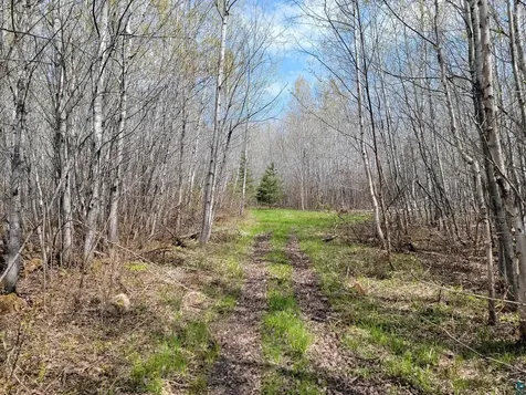 80X Sled Dog Trail Hovland MN 55606
