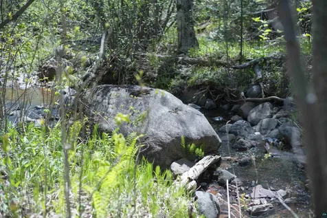 13 Coyote Ridge Grand Marais MN 55604
