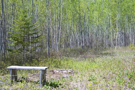 13 Coyote Ridge Grand Marais MN 55604