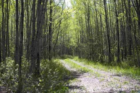 13 Coyote Ridge Grand Marais MN 55604