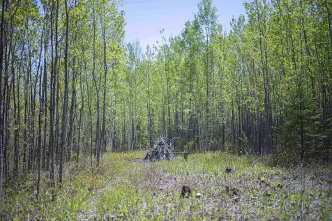 13 Coyote Ridge Grand Marais MN 55604