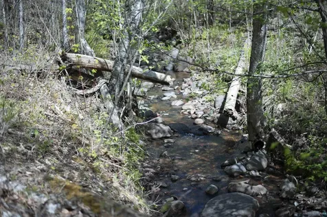 13 Coyote Ridge Grand Marais MN 55604
