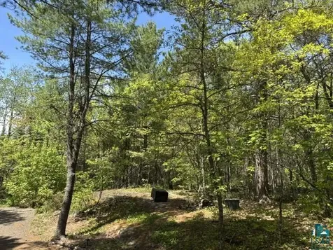 5039 Big Lake Road Ely MN 55731
