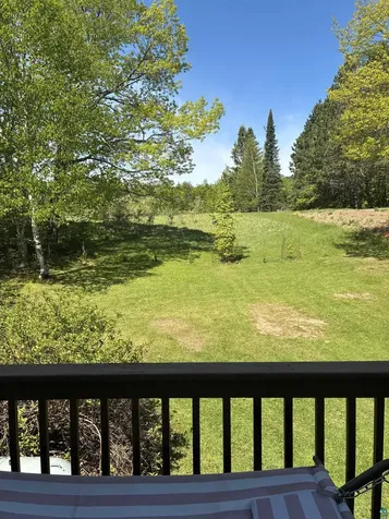 232 Tew Road Wrenshall MN 55797-9124