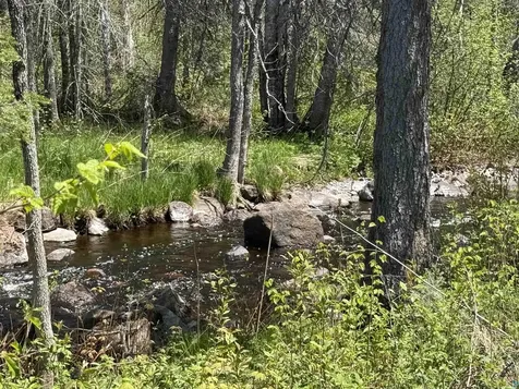 Tbd Crown Creek Spur Road Finland MN 55603