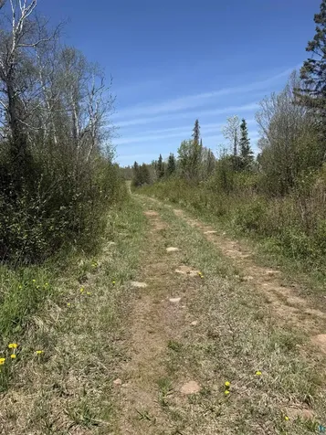 Tbd Crown Creek Spur Road Finland MN 55603