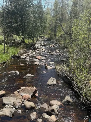 Tbd Crown Creek Spur Road Finland MN 55603