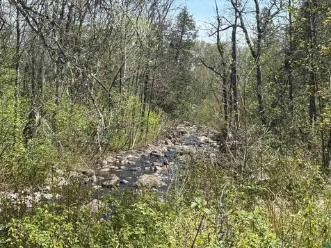 Tbd Crown Creek Spur Road Finland MN 55603