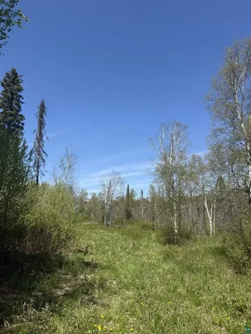 Tbd Crown Creek Spur Road Finland MN 55603