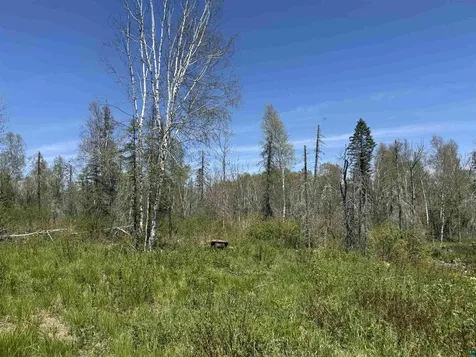 Tbd Crown Creek Spur Road Finland MN 55603