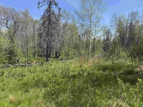 Tbd Crown Creek Spur Road Finland MN 55603