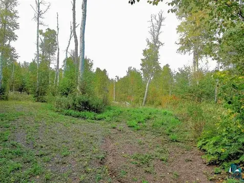 9223 Hwy 61 W Schroeder MN 55613