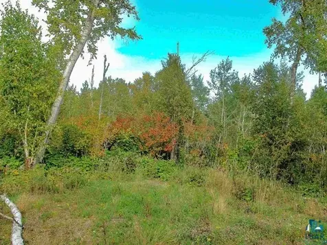 9223 Hwy 61 W Schroeder MN 55613