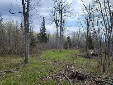 20X Sled Dog Trail Hovland MN 55606
