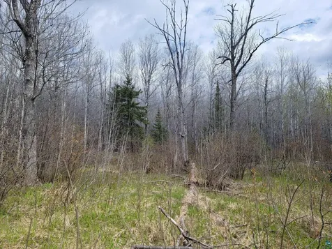 20X Sled Dog Trail Hovland MN 55606