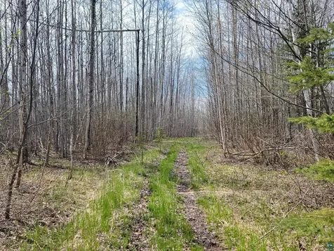 20X Sled Dog Trail Hovland MN 55606