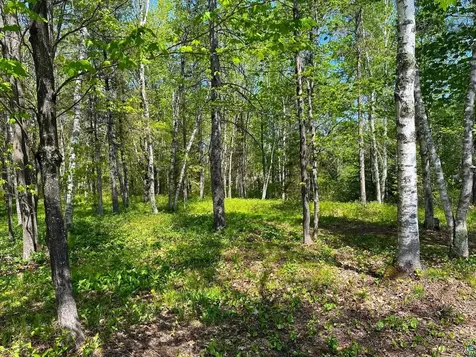 1505 Moorhead Road Cloquet MN 55720