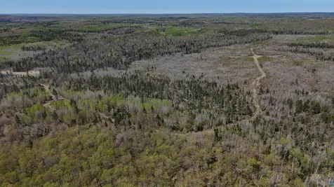 4715 Hefflefinger Road Finland MN 55603
