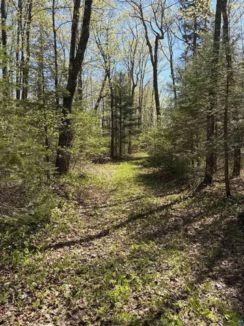 4715 Hefflefinger Road Finland MN 55603