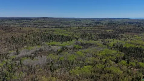 4715 Hefflefinger Road Finland MN 55603