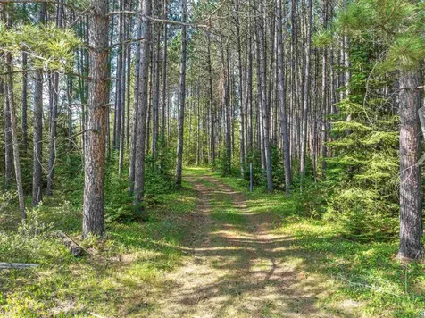 2685 Elliots Lake Road Eveleth MN 55734-0000