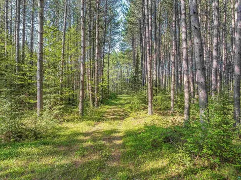 2685 Elliots Lake Road Eveleth MN 55734-0000