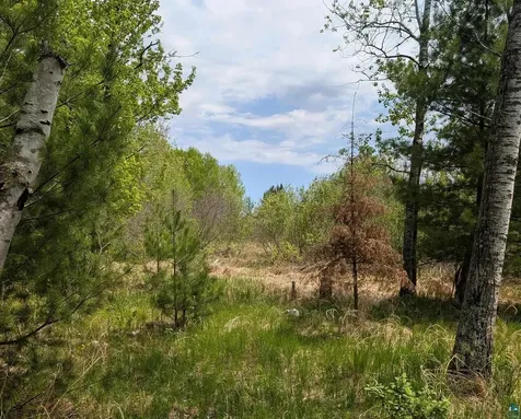 9086 Green Road Hibbing MN 55746