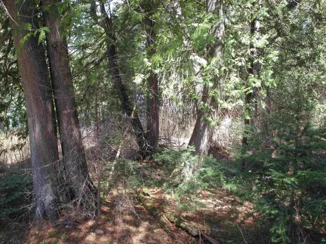 695 Loon Echo Lane Grand Marais MN 55604