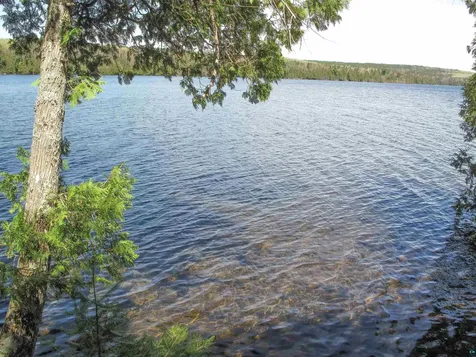 695 Loon Echo Lane Grand Marais MN 55604