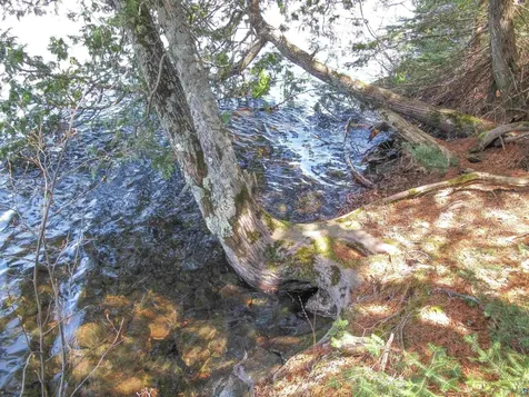 695 Loon Echo Lane Grand Marais MN 55604