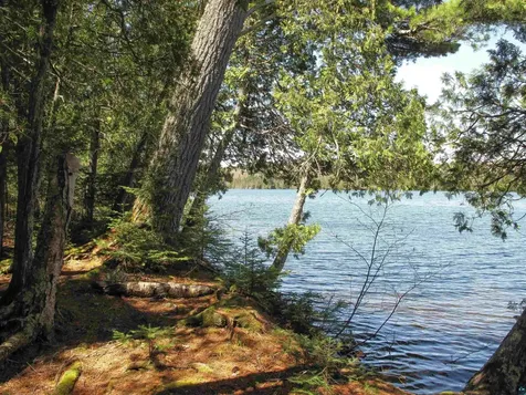 695 Loon Echo Lane Grand Marais MN 55604