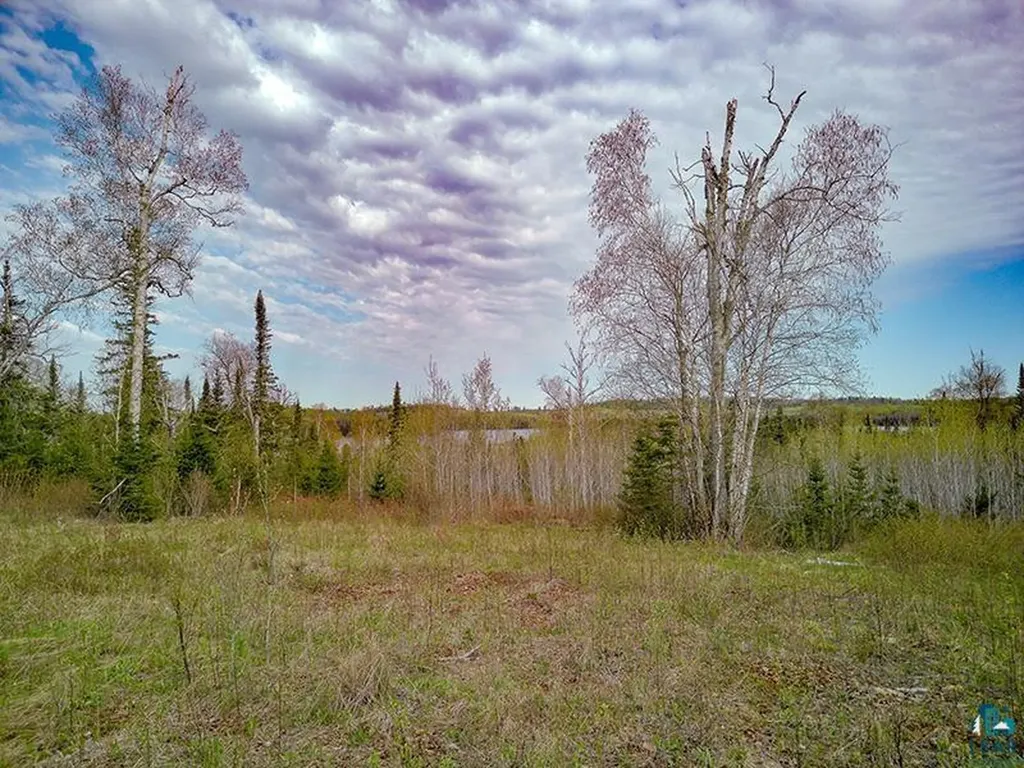 21 Pine Tree Drive Lutsen MN 55612