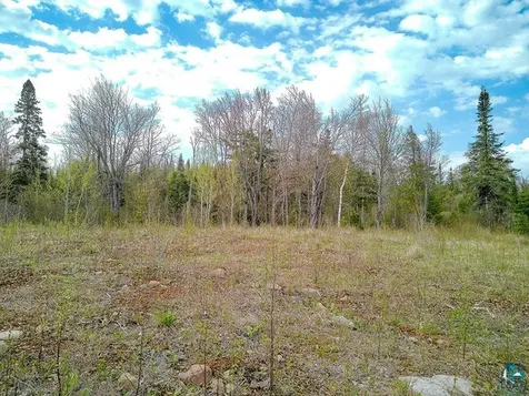 21 Pine Tree Drive Lutsen MN 55612