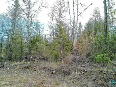 21 Pine Tree Drive Lutsen MN 55612